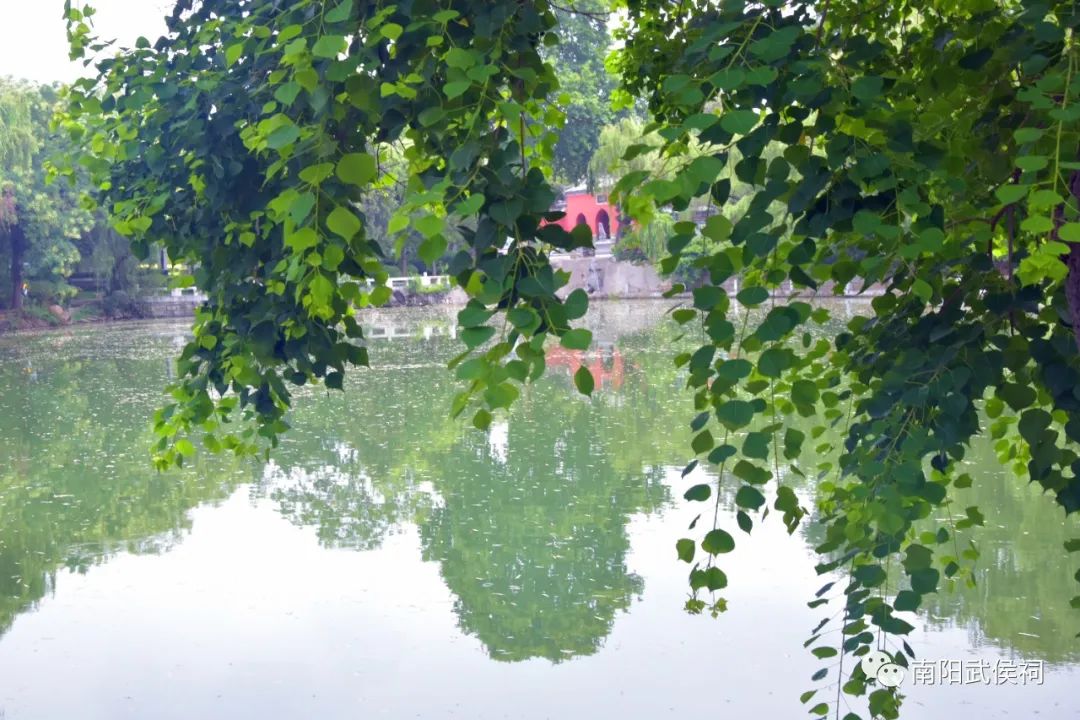 640.jpg